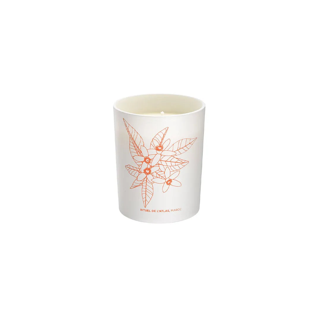 Phyto-aromatic Candle Atlas – Candela Aromatica Energizzante